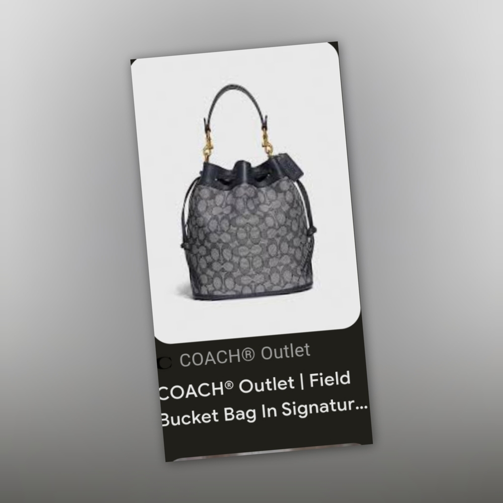 Coach Gray Shoulder Bag with Signature Style
